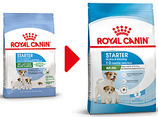 Royal Canin Mini Starter